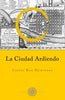 Libro La Ciudad Ardiendo de  Carlos Cortesfigueroa