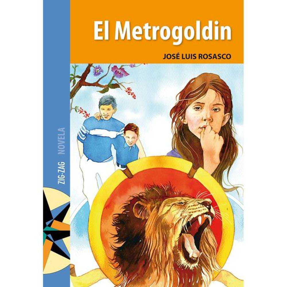 LIBRO METROGOLDIN DE JOSÉ LUIS ROSASCO - ZIG-ZAG