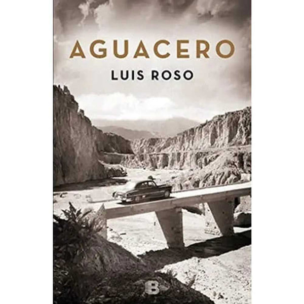 Libro Aguacero de Luis Roso
