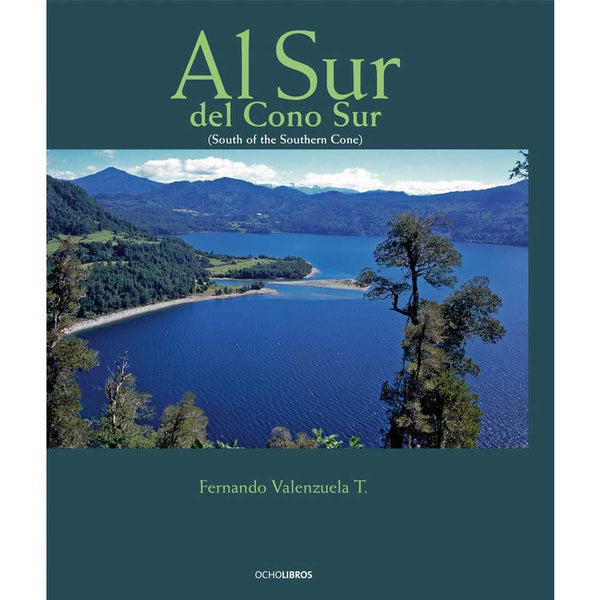 Libro Al Sur Del Cono Sur de Valenzuela, Fernando
