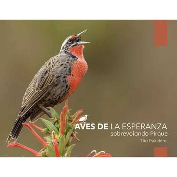 Libro Aves De La Esperanza de Tita Escudero