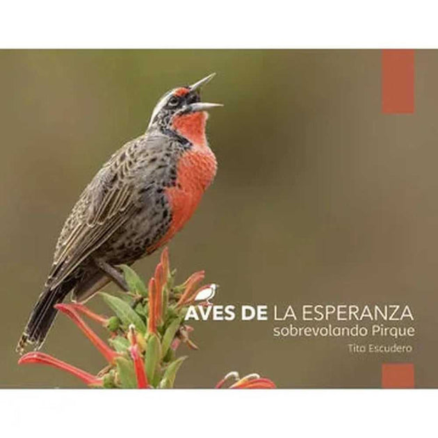 Libro Aves De La Esperanza De Tita Escudero