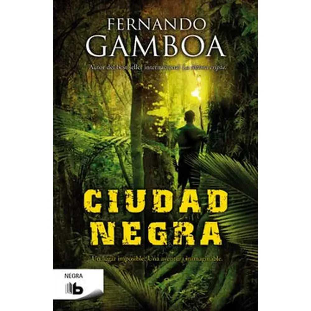 Libro Ciudad de Fernando Gamboa González
