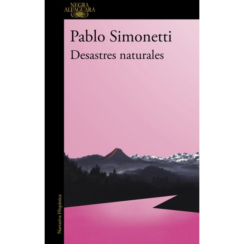 Libro Desastres Naturales de Pablo Simonetti - ALFAGUARA
