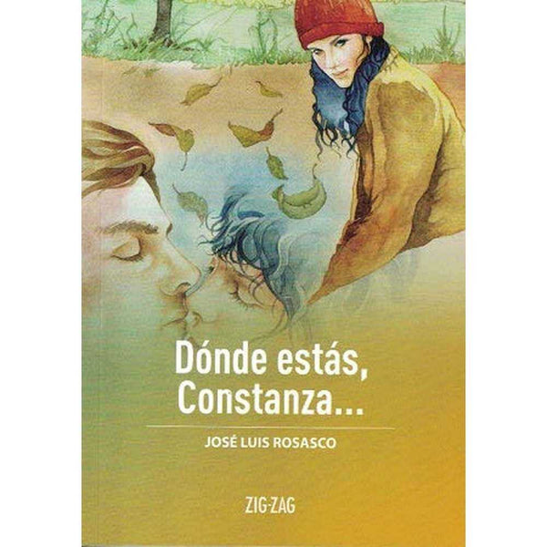 Libro Dónde Estás, Contanza de José Luis Rosasco - ZIGZAG
