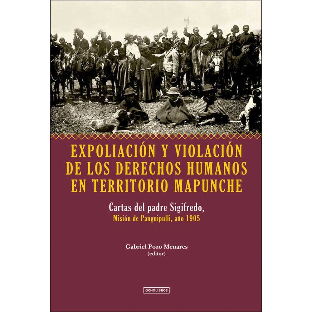 Libro Expoliación Y Violación De Los Derechos Humanos En Mapunche
