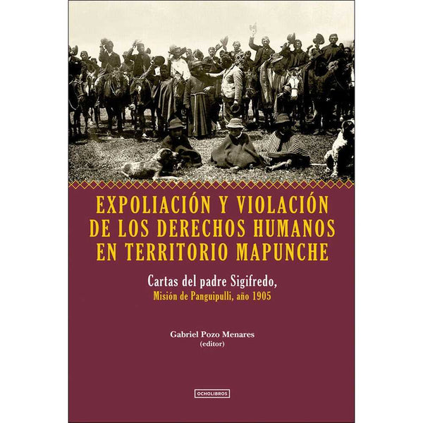 Libro Expoliación Y Violación De Los Derechos Humanos En Mapunche