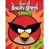 Libro Mi Kit Space De Angry Birds -  Vergara Y Riba