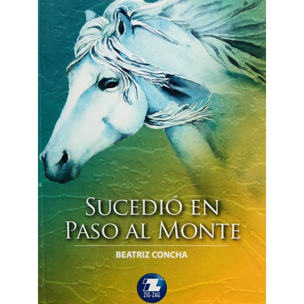Libro Sucedió En Paso Al Monte de Beatriz Concha - ZIGZAG