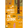 Libros Santiago Y La Visita De Los Pie Grande De Nicolás Alkinson - Editorial Trayecto
