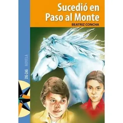 Libro Sucedió en Paso al Monte de Beatriz Concha - Zig Zag