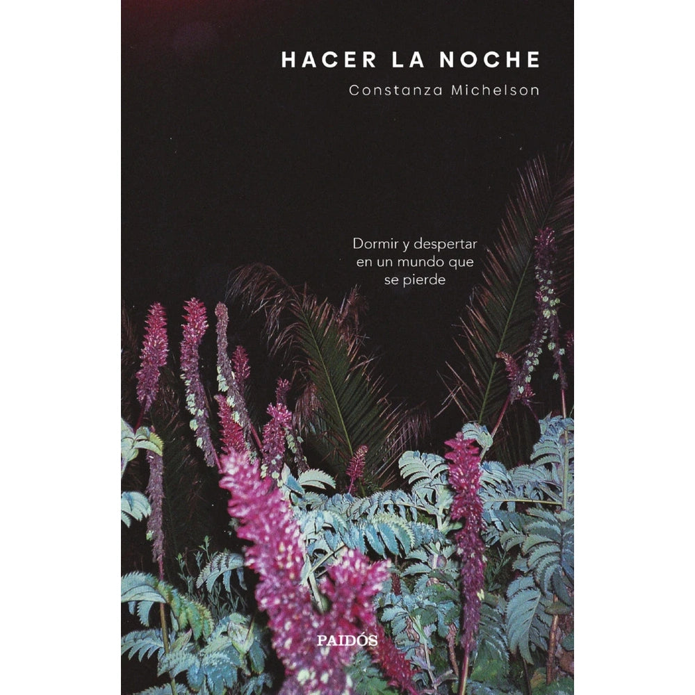 Libro Hacer la noche de Constanza Michelson - Paidós