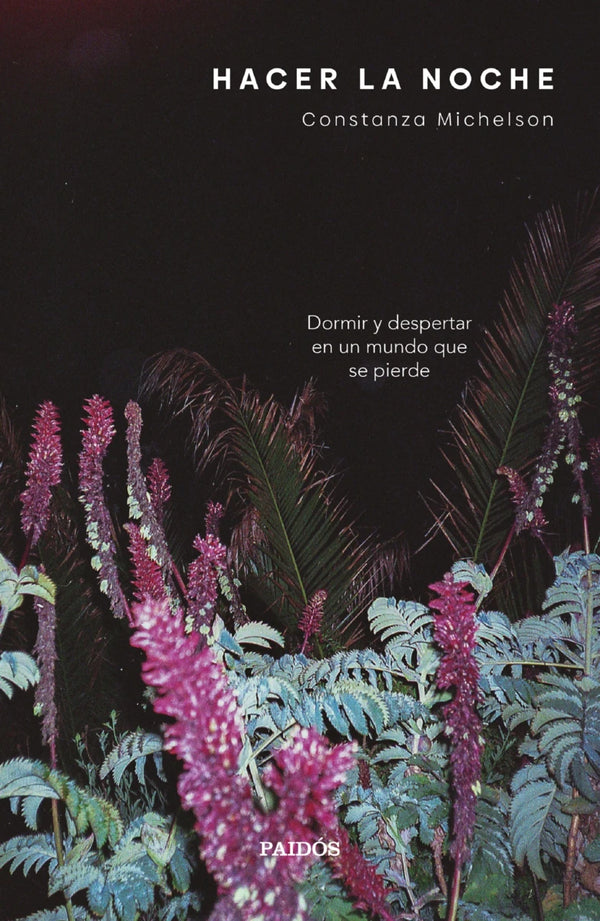 Libro Hacer la noche de Constanza Michelson - Paidós