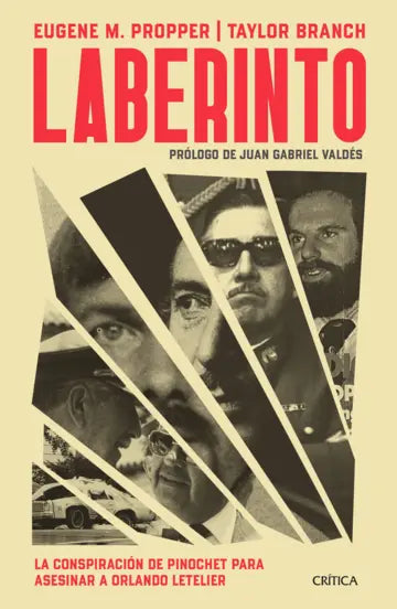 Libro Laberinto de Eugene M. Propper, Taylor Branch - Crítica