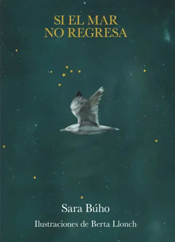 Libro Si el mar no regresa de Sara Búho Berta Llonch - Lunwerg Editores